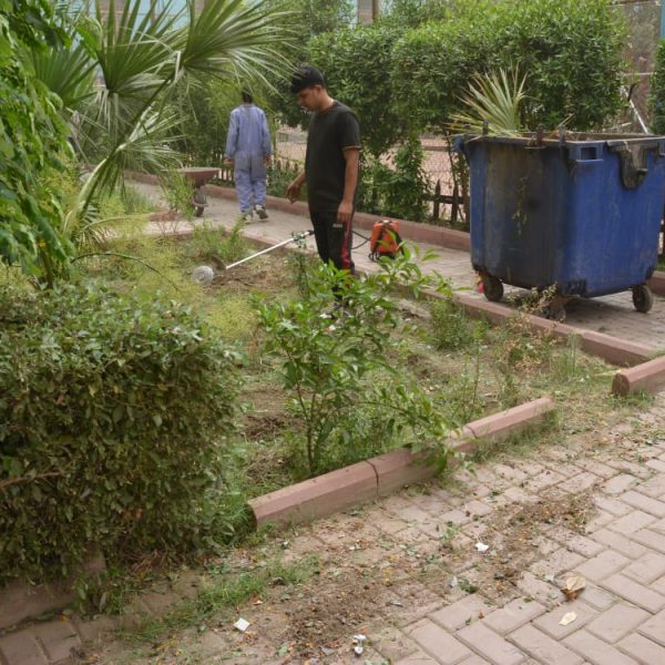 WhatsApp Image 2025-05-05 at 19.55.58_a987ee35