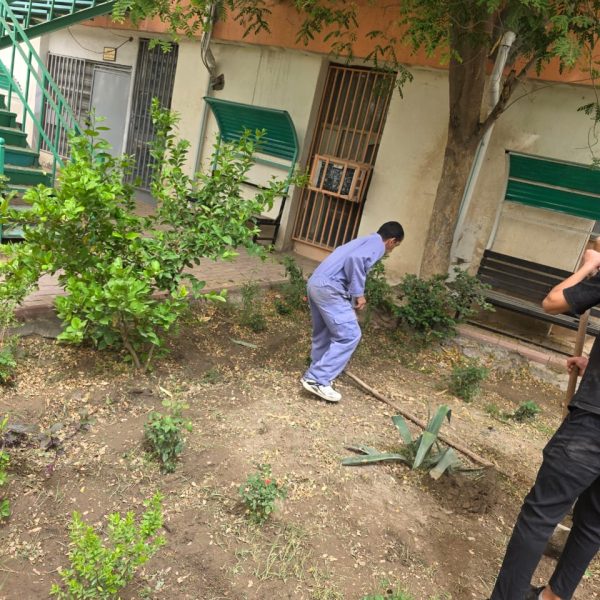 WhatsApp Image 2025-05-05 at 19.56.28_73499a0f