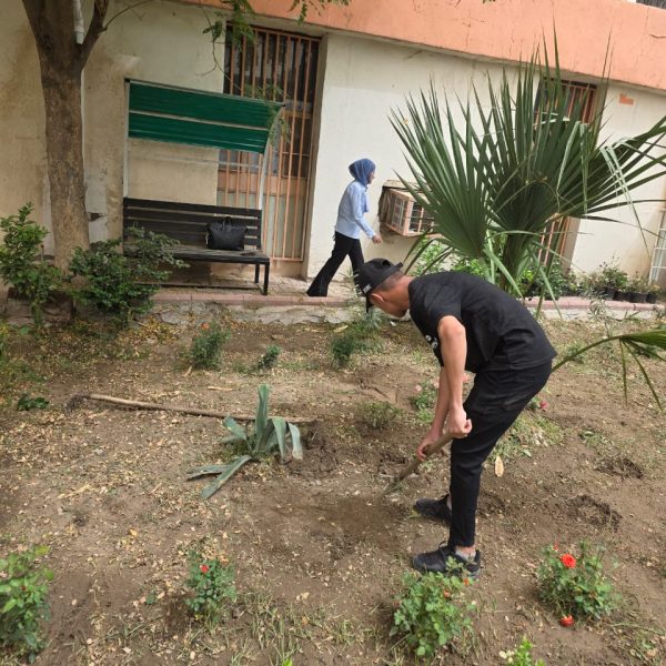 WhatsApp Image 2025-05-05 at 19.56.28_d0dabf59