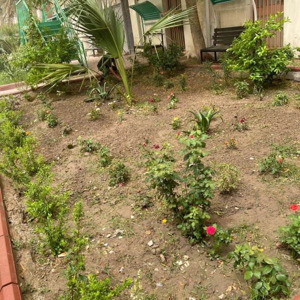 WhatsApp Image 2025-05-05 at 19.58.11_35ea40c9