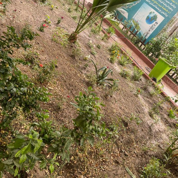 WhatsApp Image 2025-05-05 at 19.58.12_c03530d2